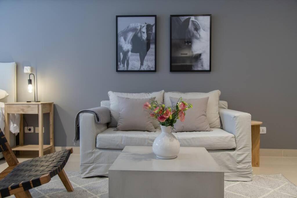 Peonia Amazing Studio Appartement Buenos Aires